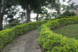 Jardines, naturaleza, senderos y flores de Fundación cultural y deportiva Santa Bárbara (FUCDESBA)