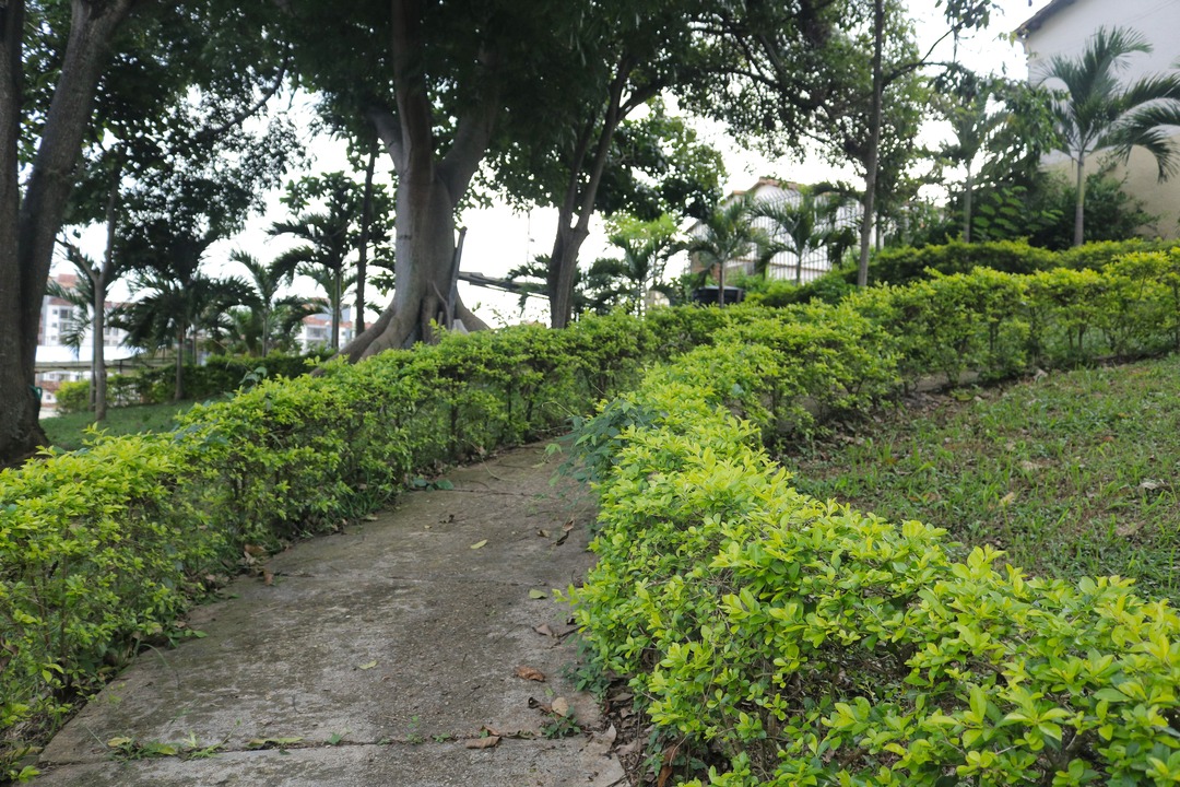 Jardines, naturaleza, senderos y flores de Fundación cultural y deportiva Santa Bárbara (FUCDESBA)