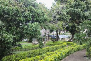 Jardines, naturaleza, senderos y flores de Fundación cultural y deportiva Santa Bárbara (FUCDESBA)