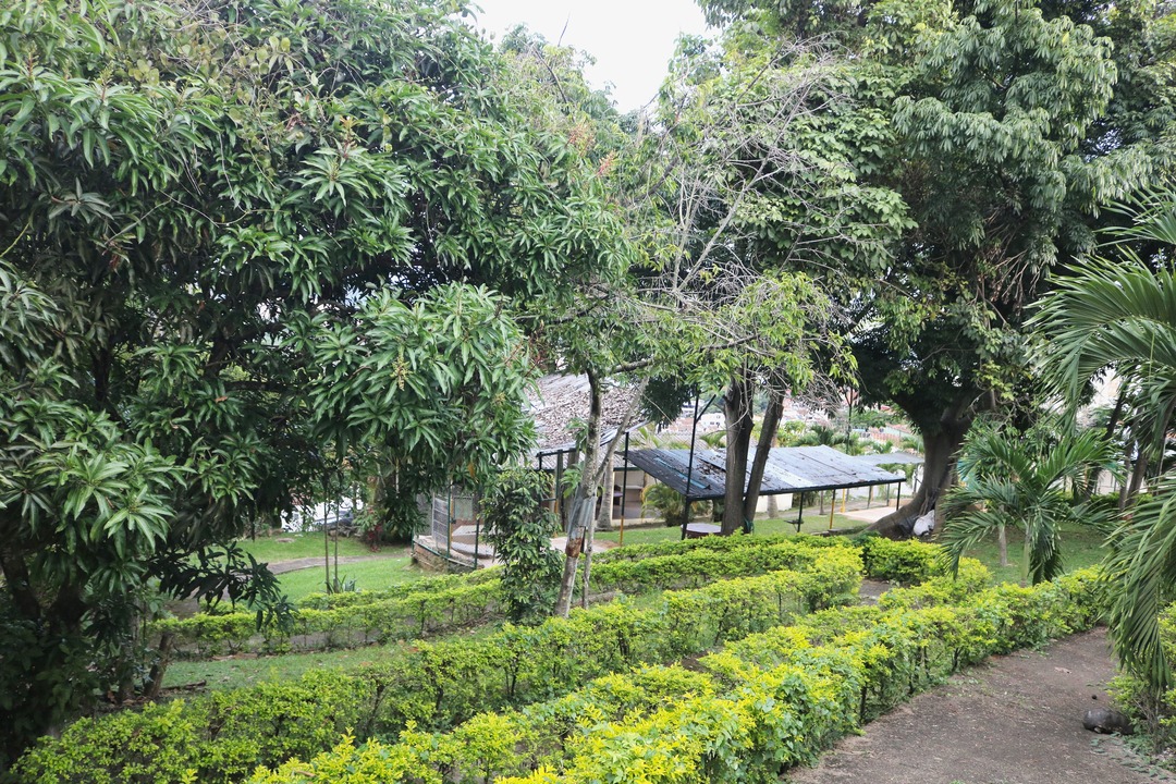 Jardines, naturaleza, senderos y flores de Fundación cultural y deportiva Santa Bárbara (FUCDESBA)