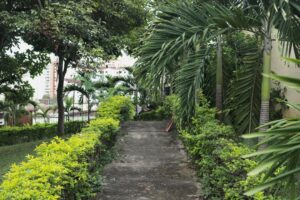 Jardines, naturaleza, senderos y flores de Fundación cultural y deportiva Santa Bárbara (FUCDESBA)