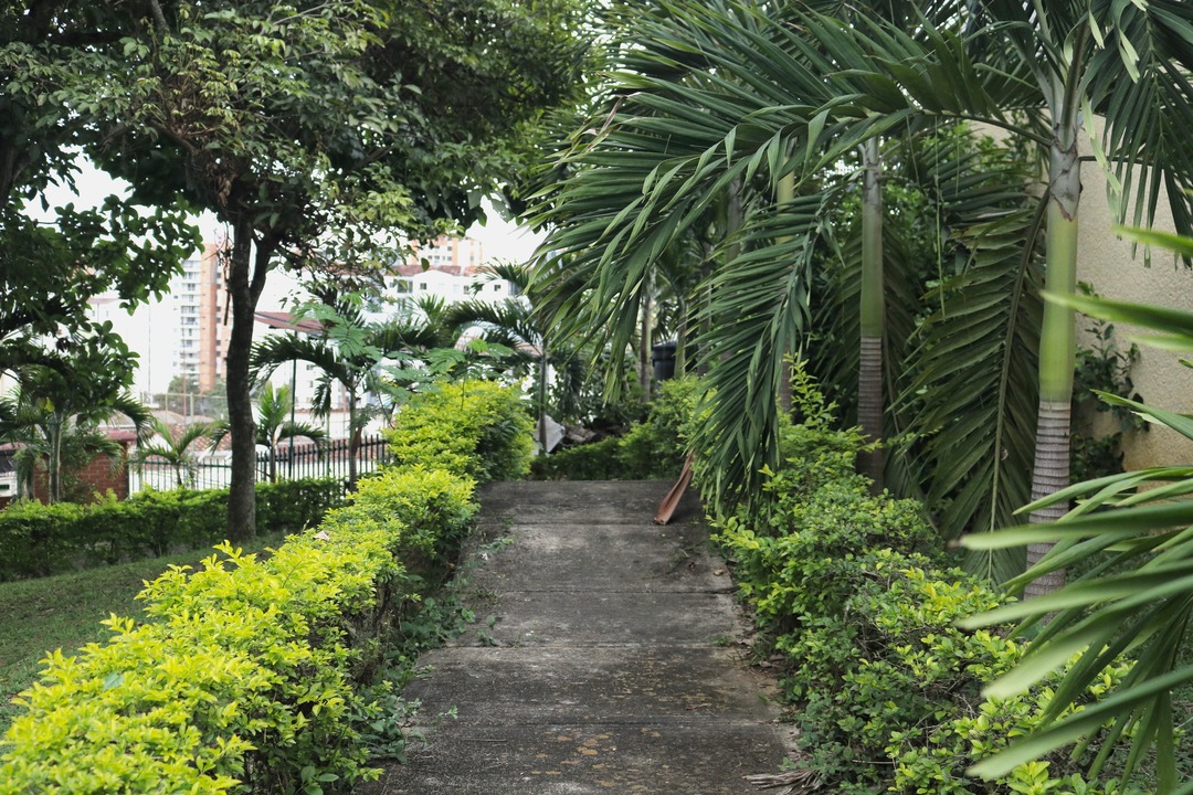 Jardines, naturaleza, senderos y flores de Fundación cultural y deportiva Santa Bárbara (FUCDESBA)